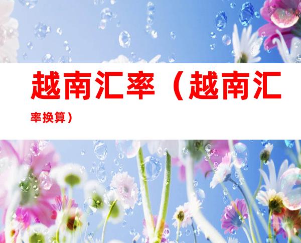 越南汇率(越南汇率换算)