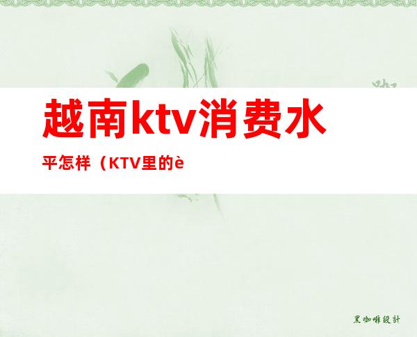 越南ktv消费水平怎样(KTV里的越南歌)