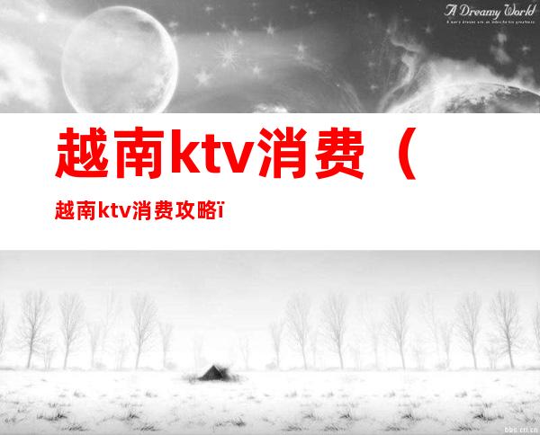 越南ktv消费(越南ktv消费攻略)