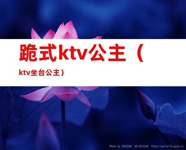 跪式ktv公主（ktv坐台公主）