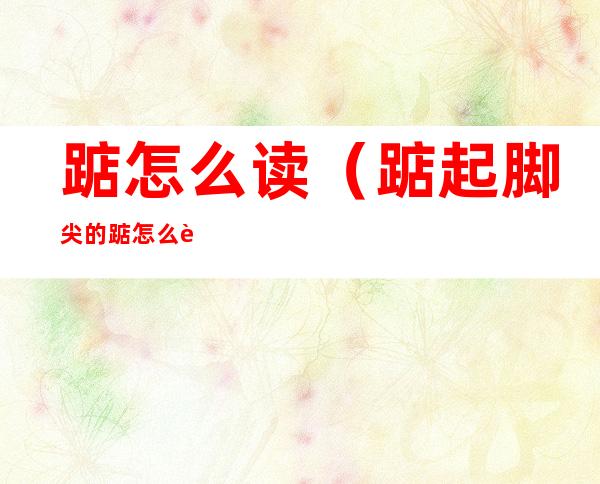 踮怎么读(踮起脚尖的踮怎么读)