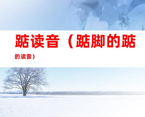 踮读音(踮脚的踮的读音)
