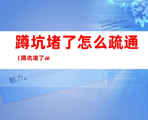 蹲坑堵了怎么疏通(蹲坑堵了怎么疏通怎么收费)