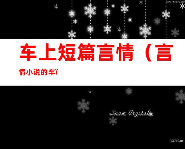 车上短篇言情（言情小说的车）