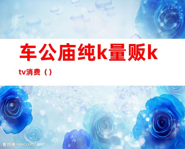 车公庙纯k量贩ktv消费()