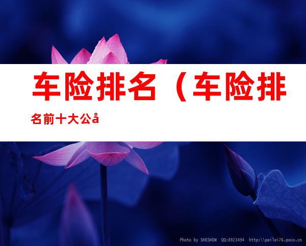 车险排名(车险排名前十大公司电话)