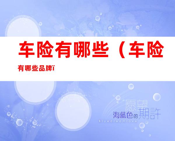 车险有哪些(车险有哪些品牌)