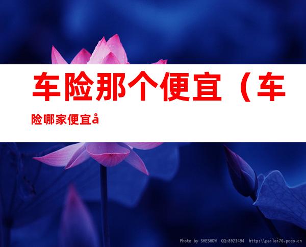 车险那个便宜(车险哪家便宜实惠)