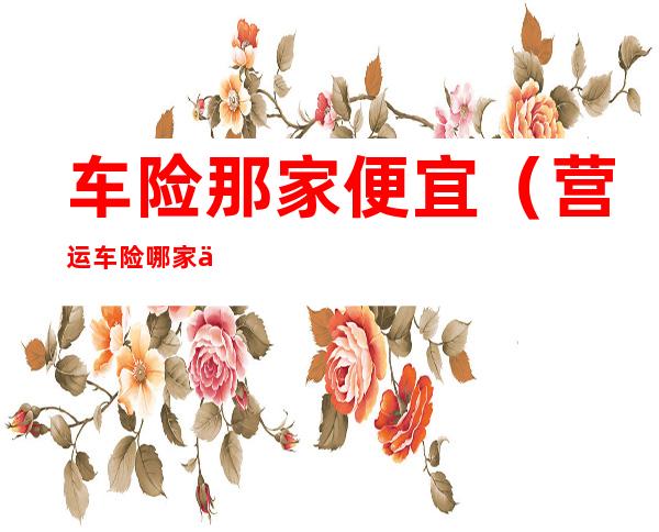 车险那家便宜(营运车险哪家便宜)