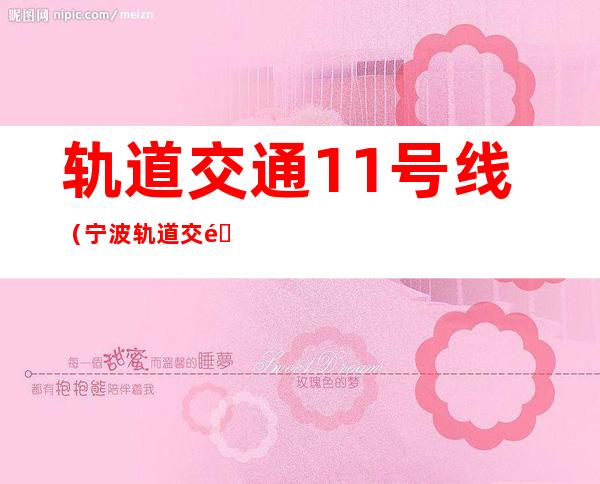 轨道交通11号线(宁波轨道交通11号线)