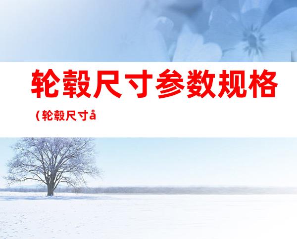 轮毂尺寸参数规格(轮毂尺寸参数规格J)