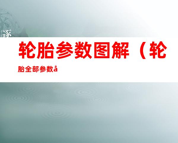 轮胎参数图解(轮胎全部参数 图解)