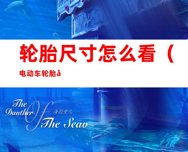 轮胎尺寸怎么看（电动车轮胎尺寸怎么看）