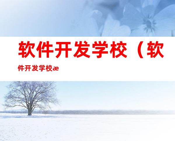 软件开发学校(软件开发学校排行)