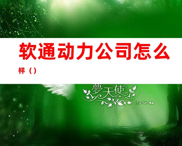 软通动力公司怎么样()