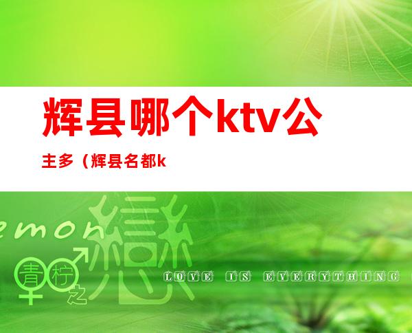 辉县哪个ktv公主多（辉县名都ktv）