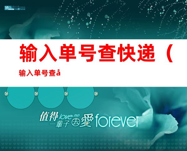 输入单号查快递(输入单号查快递圆通快递查询单号)