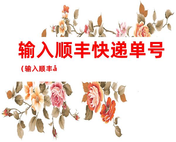 输入顺丰快递单号（输入顺丰快递单号怎么查询）