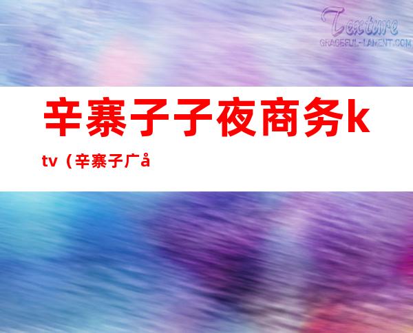 辛寨子子夜商务ktv(辛寨子广场小旅店)