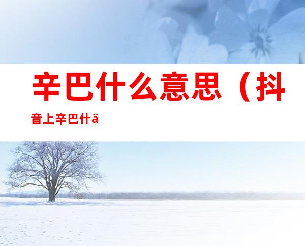 辛巴什么意思（抖音上辛巴什么意思）