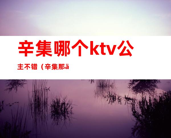 辛集哪个ktv公主不错(辛集那个ktv好玩)