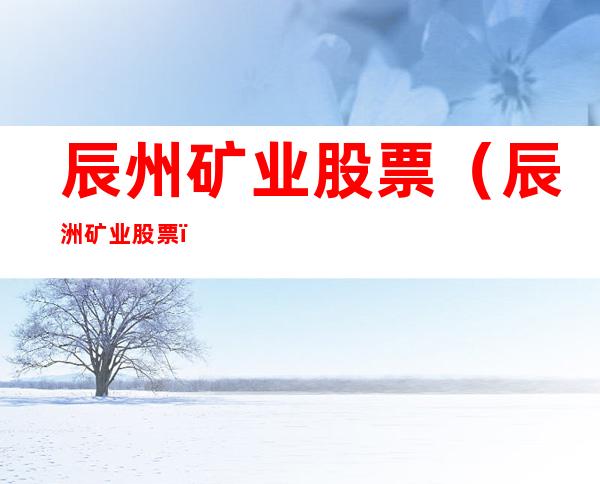辰州矿业股票（辰洲矿业股票）