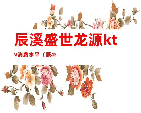 辰溪盛世龙源ktv消费水平(辰溪盛夜酒吧)