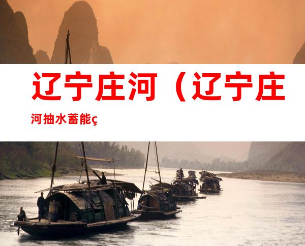 辽宁庄河(辽宁庄河抽水蓄能电站)
