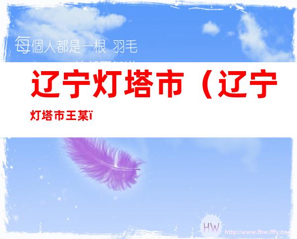 辽宁灯塔市（辽宁灯塔市王某）
