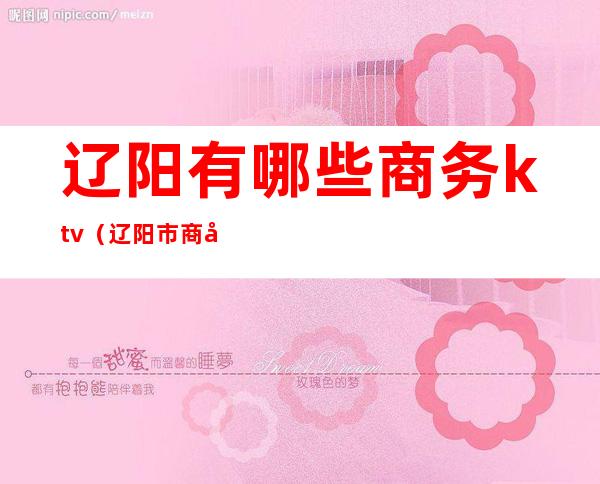 辽阳有哪些商务ktv(辽阳市商务局地址)