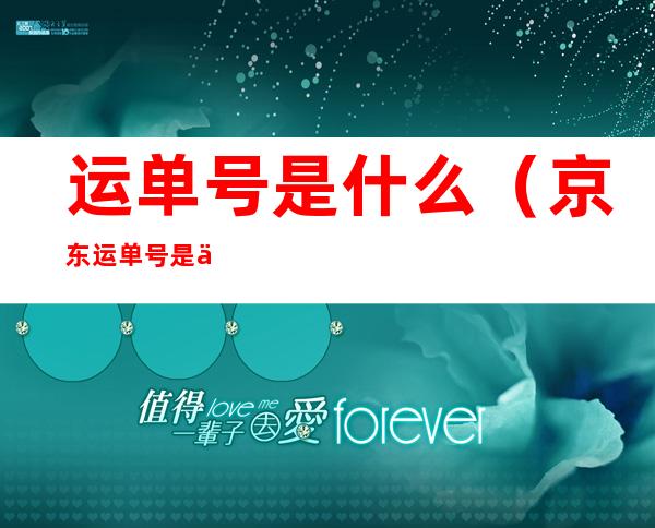 运单号是什么(京东运单号是什么)