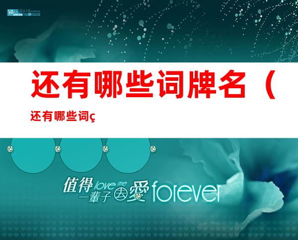 还有哪些词牌名（还有哪些词牌名?）