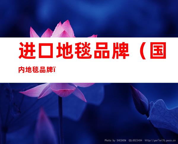 进口地毯品牌(国内地毯品牌)