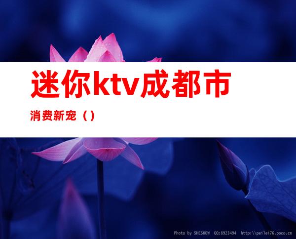 迷你ktv成都市消费新宠()