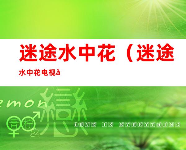 迷途水中花(迷途水中花电视剧演员表)