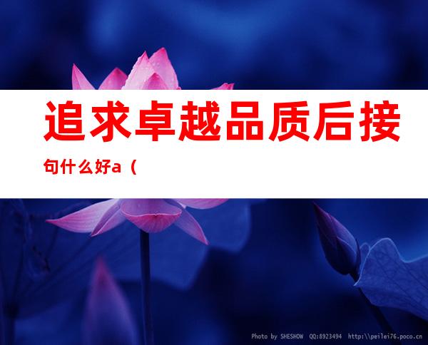 追求卓越品质后接句什么好a（追求卓越的短句）