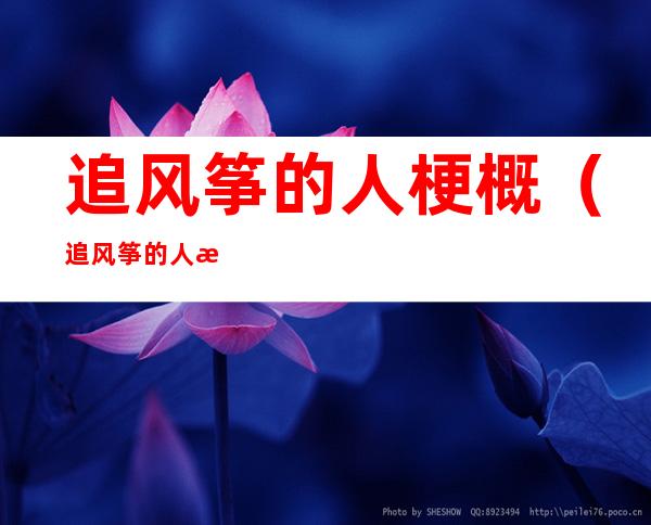 追风筝的人梗概(追风筝的人梗概400字)