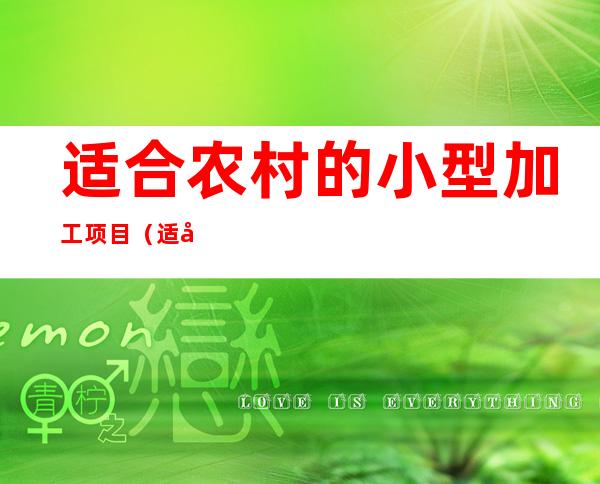 适合农村的小型加工项目(适合农村的小型加工业)