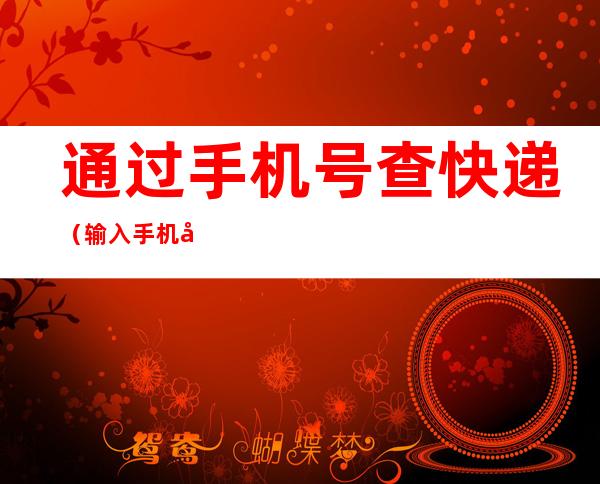 通过手机号查快递(输入手机号找订单物流快递)