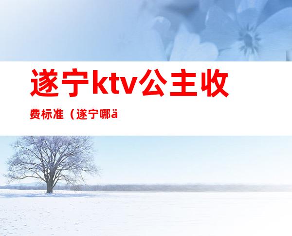 遂宁ktv公主收费标准(遂宁哪些ktv配有公主)