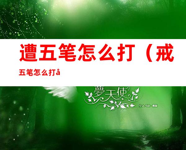 遭五笔怎么打（戒五笔怎么打字）