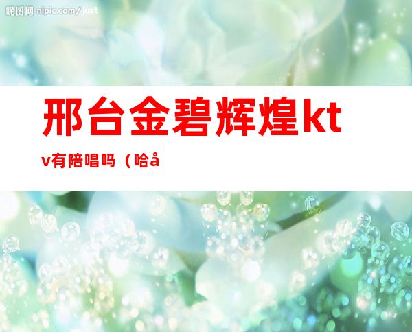 邢台金碧辉煌ktv有陪唱吗(哈尔滨金碧辉煌ktv陪唱)