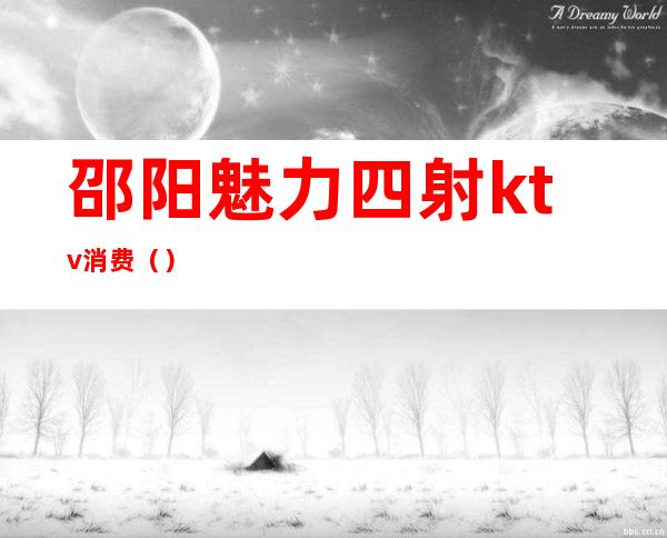 邵阳魅力四射ktv消费()