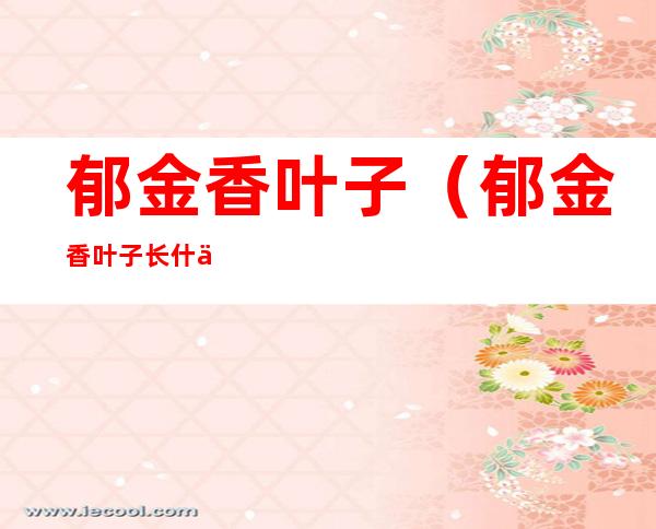 郁金香叶子(郁金香叶子长什么样)