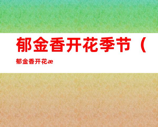 郁金香开花季节(郁金香开花时间)
