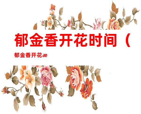 郁金香开花时间(郁金香开花时间是几点)