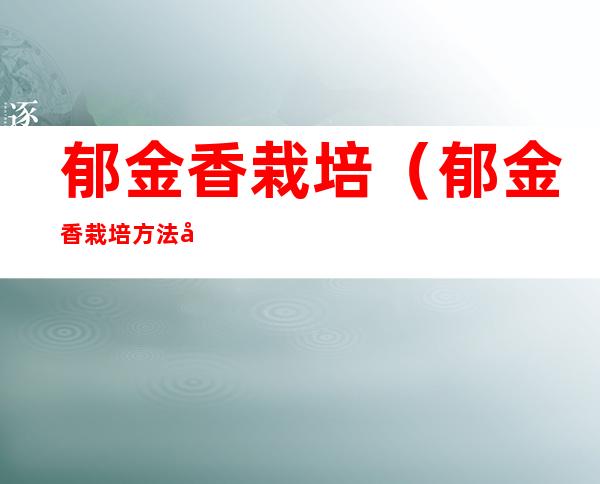 郁金香栽培(郁金香栽培方法和时间)