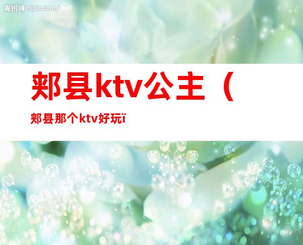 郏县ktv公主(郏县那个ktv好玩)