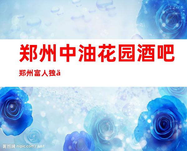 郑州中油花园酒吧郑州富人独享酒吧之一