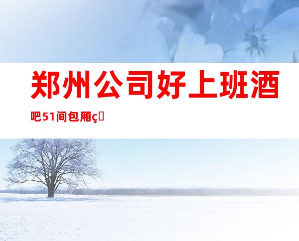 郑州公司好上班酒吧51间包厢生意火爆